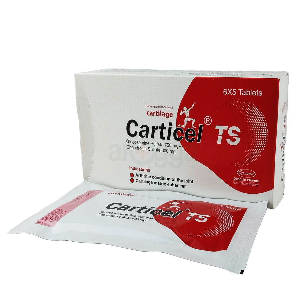carticel-ts